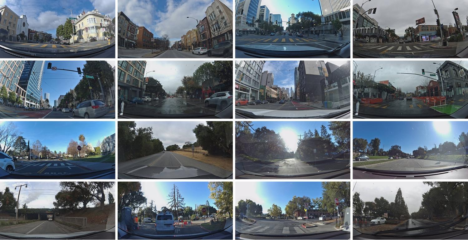 Your Bee Is Mapping the World — Now You Can See It