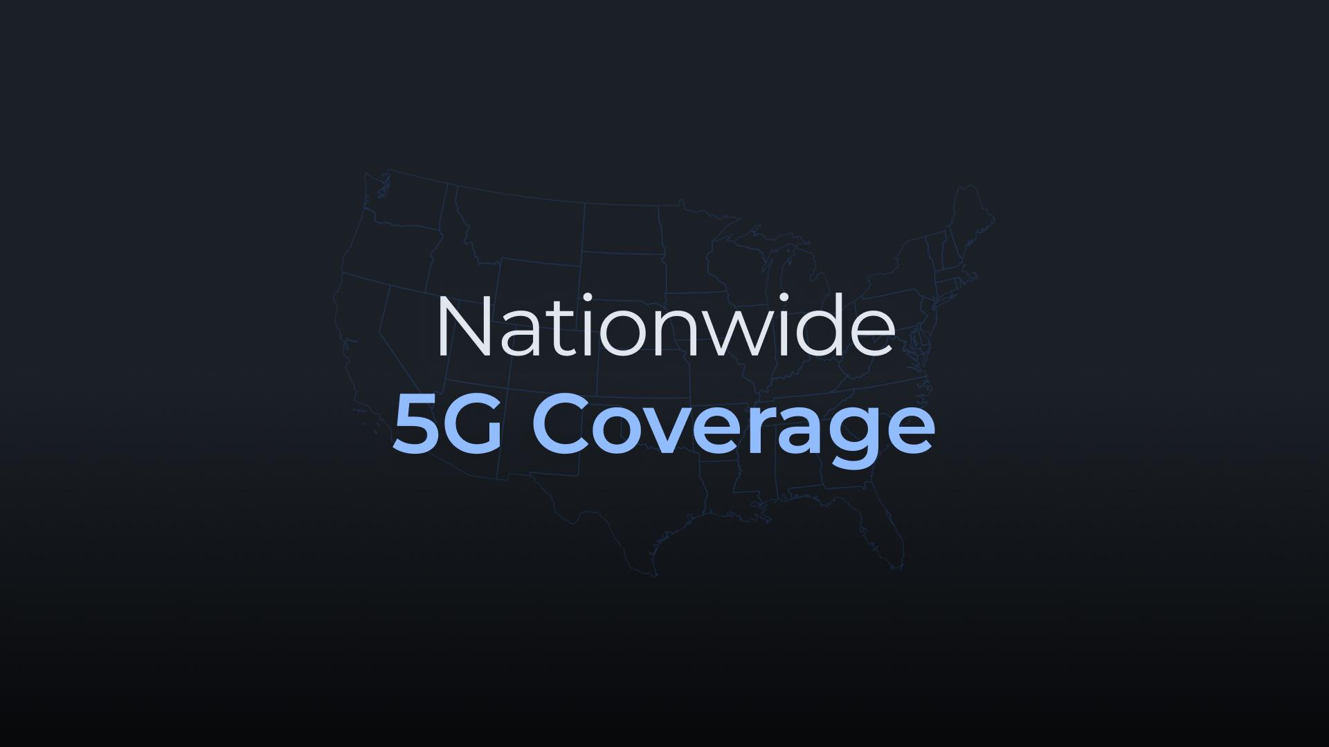 Bee Membership Bundle Image 4