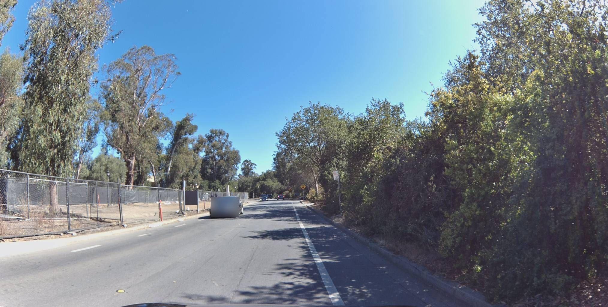 Why the Bee Knows Exactly Where It Is