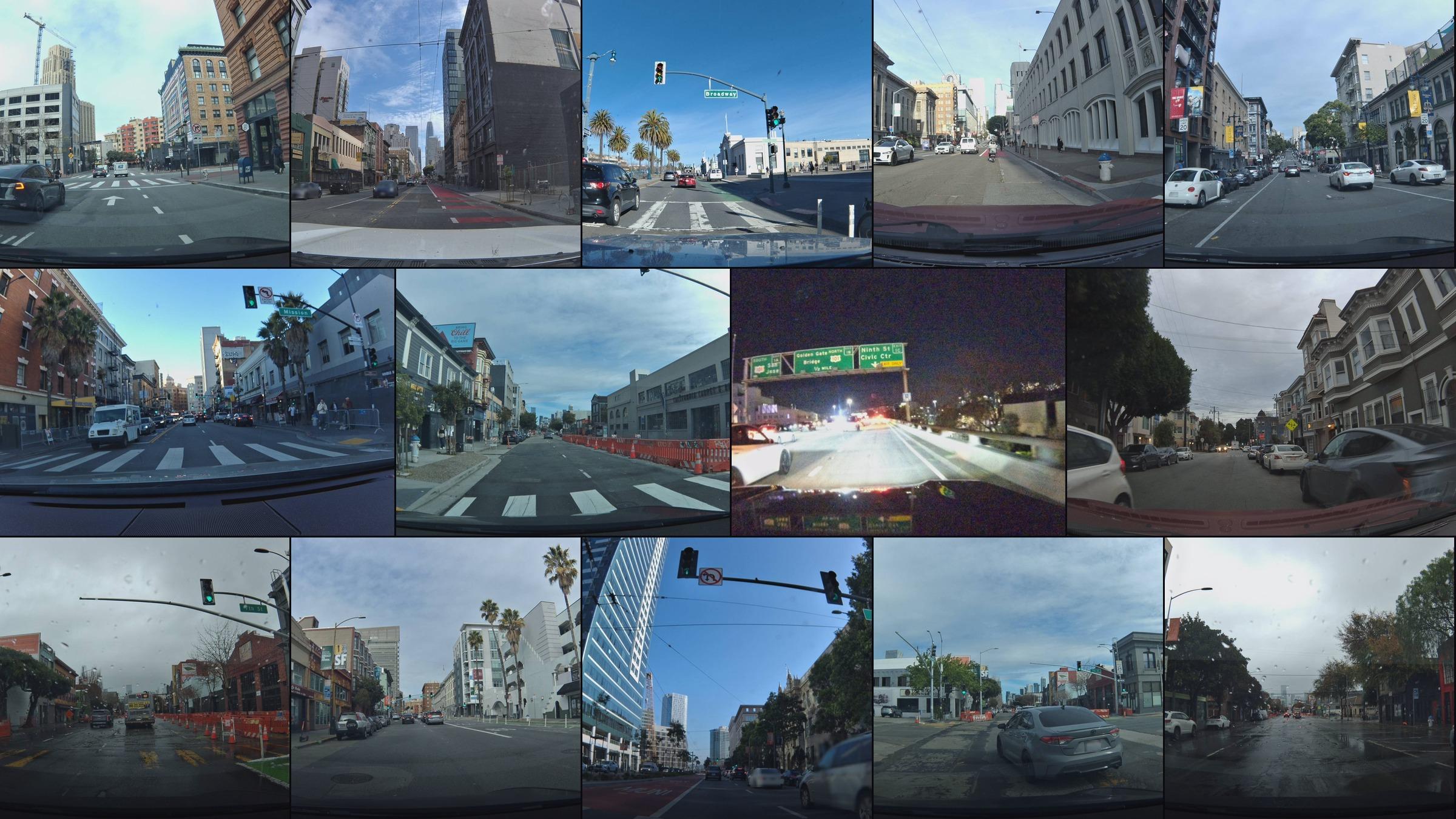 The Bee Never Blinks